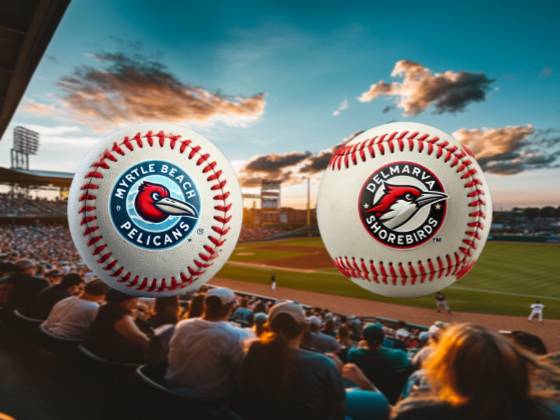 Delmarva Shorebirds vs. Myrtle Beach Pelicans